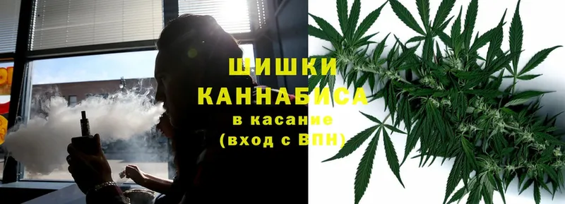 Конопля планчик  Аркадак 